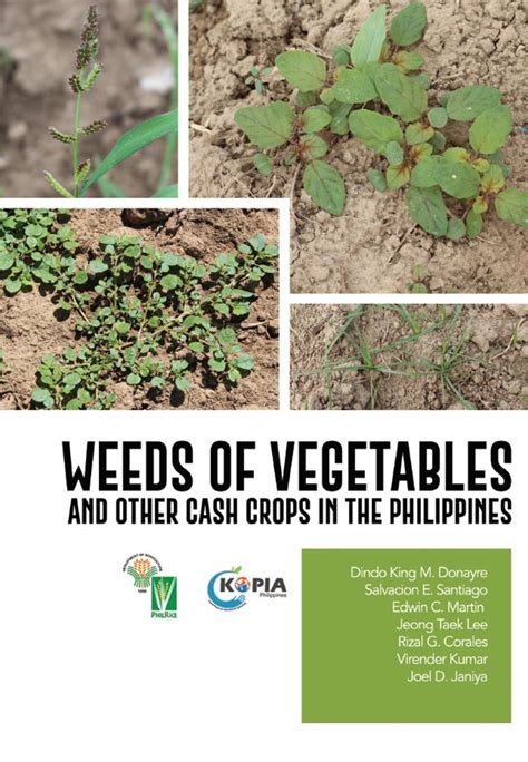 list common weeds in the philippines|Weeds of Vegetables and Other Cash Crops in the Philippines.